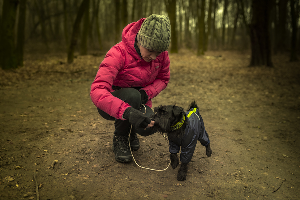 Our Exceptional Solutions Image