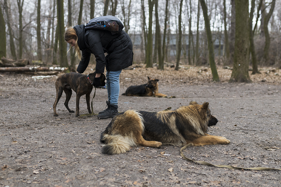 Our Exceptional Solutions Image