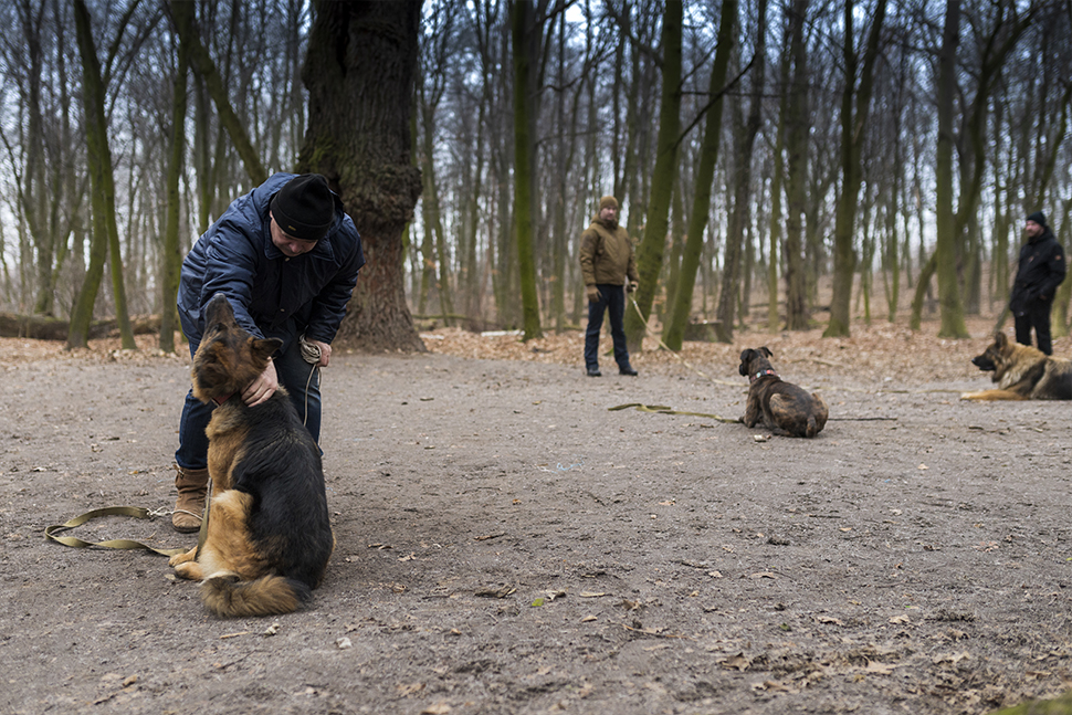 Our Exceptional Solutions Image