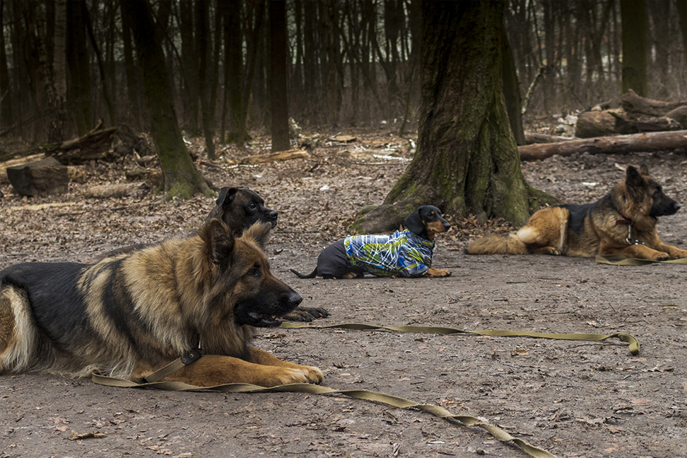 Our Exceptional Solutions Image