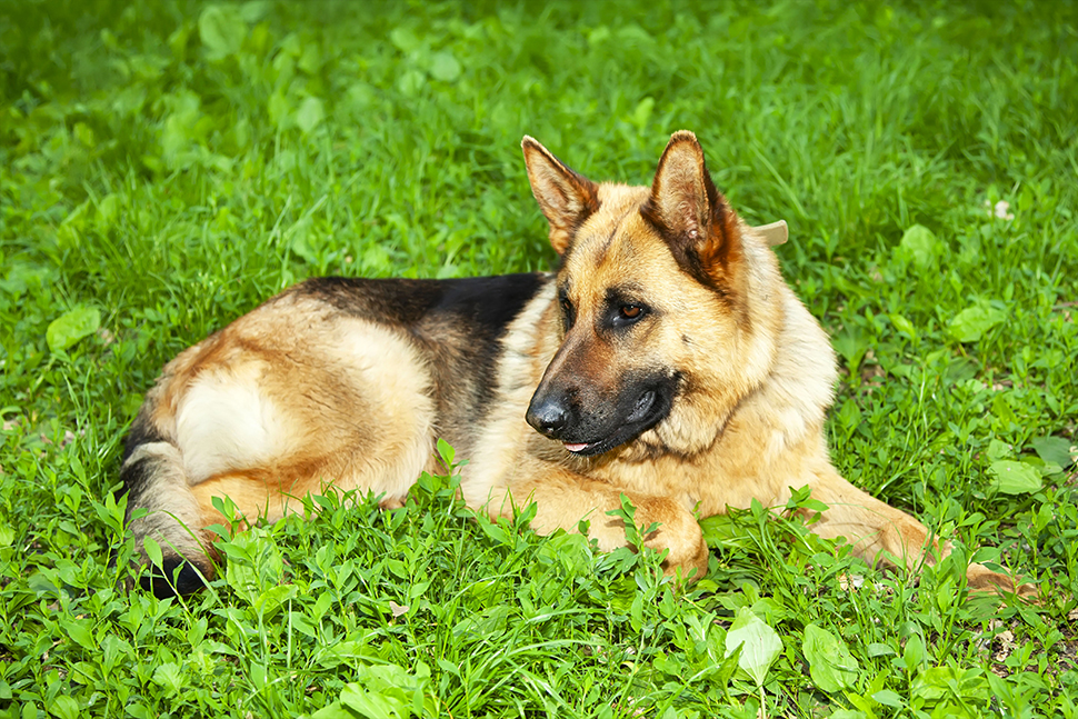 Our Exceptional Solutions Image