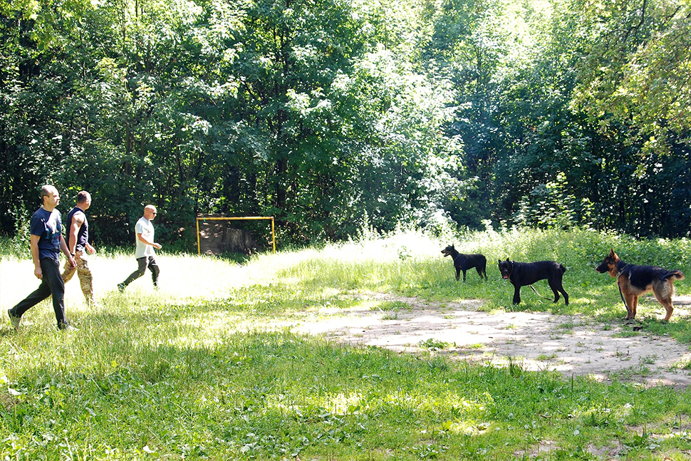 Our Exceptional Solutions Image