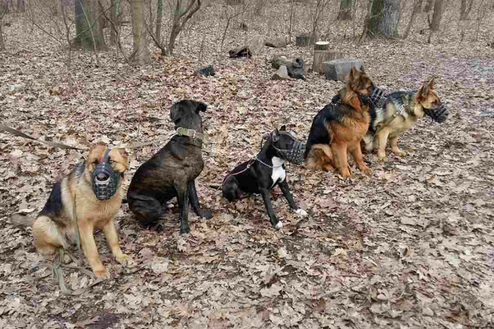 Our Exceptional Solutions Image