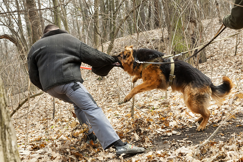 Our Exceptional Solutions Image