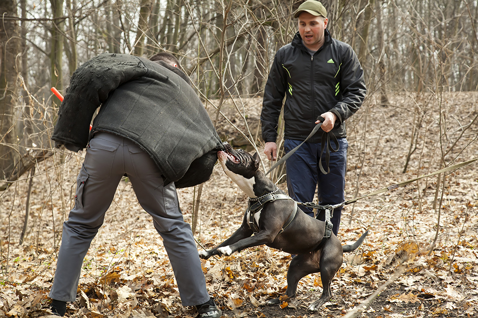 Our Exceptional Solutions Image