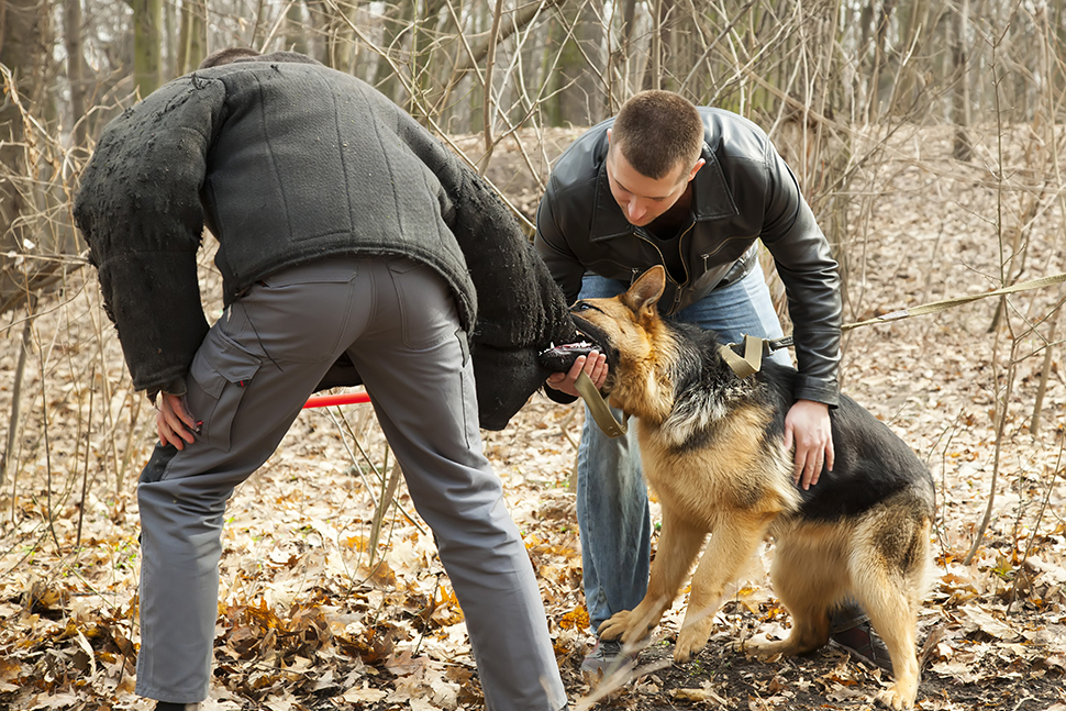 Our Exceptional Solutions Image