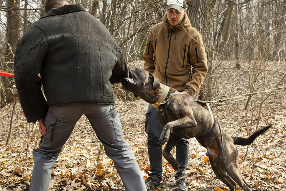 Our Exceptional Solutions Image