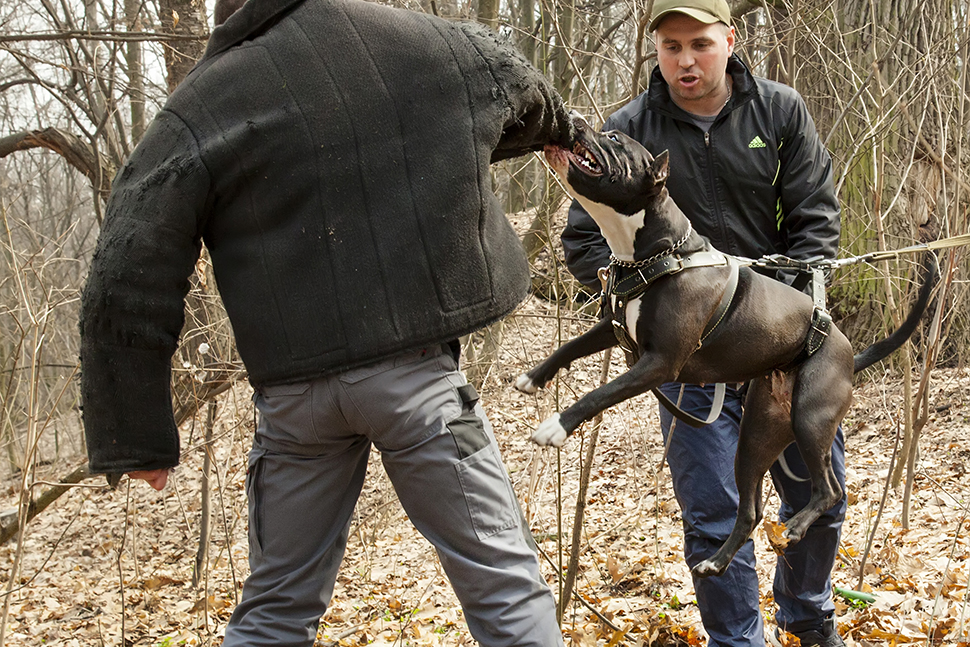 Our Exceptional Solutions Image