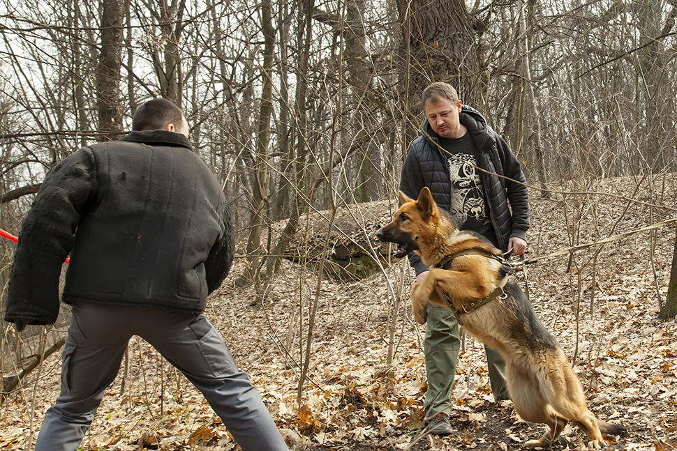 Our Exceptional Solutions Image