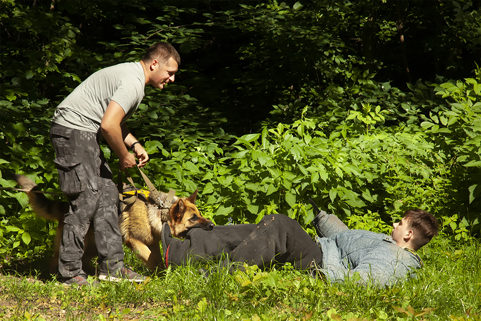 Our Exceptional Solutions Image