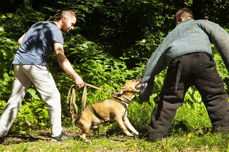 Our Exceptional Solutions Image