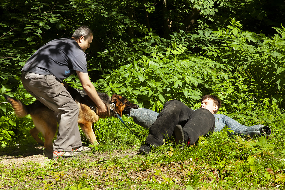 Our Exceptional Solutions Image