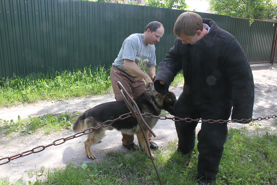 Our Exceptional Solutions Image