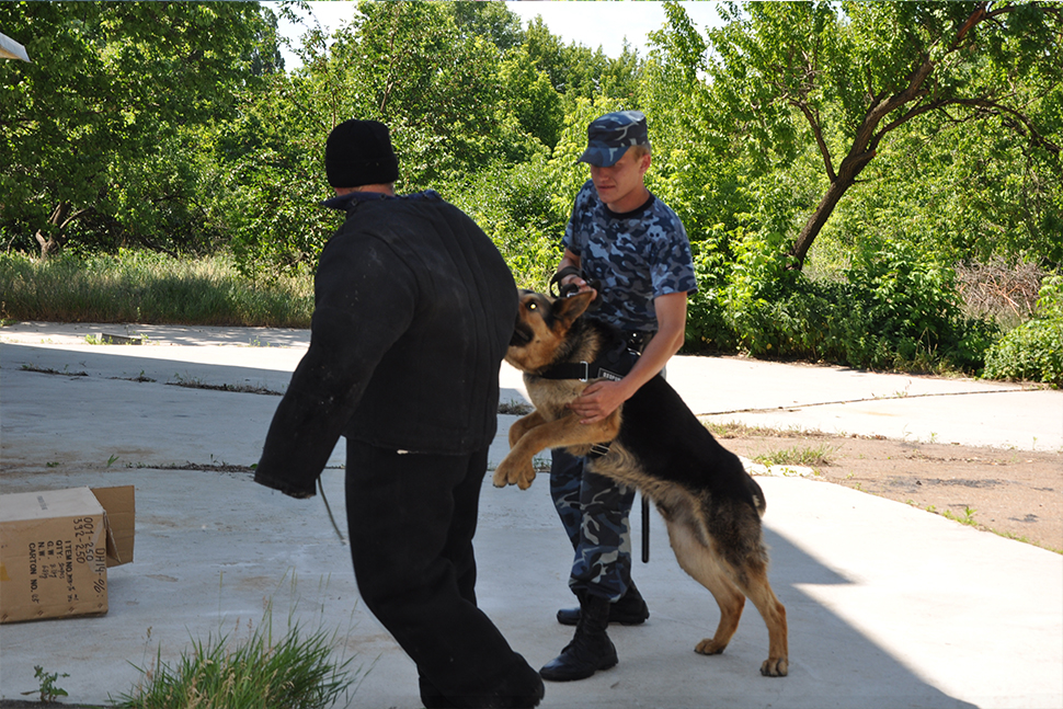 Our Exceptional Solutions Image