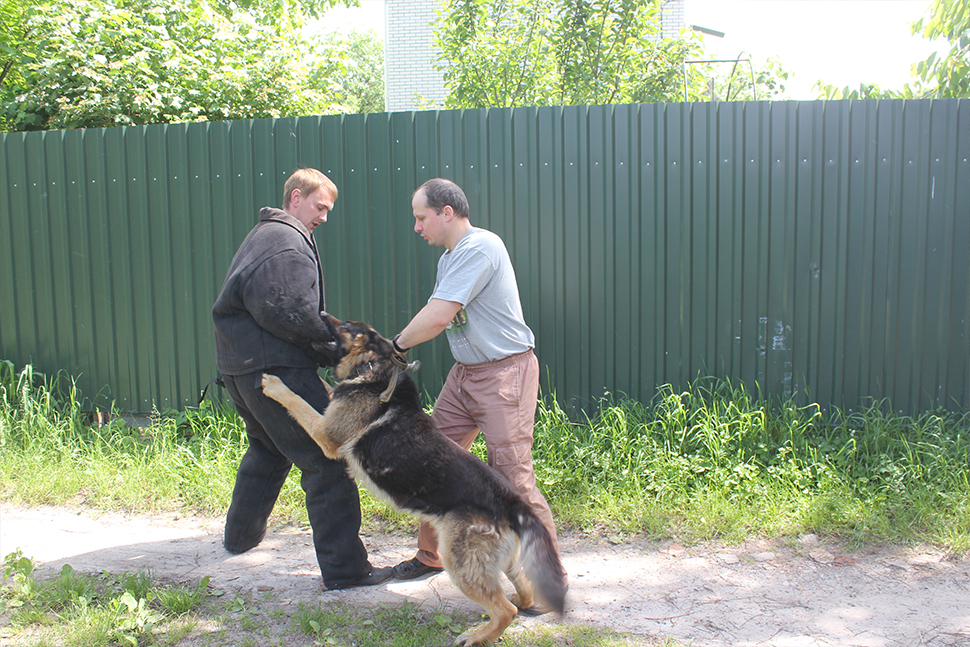 Our Exceptional Solutions Image