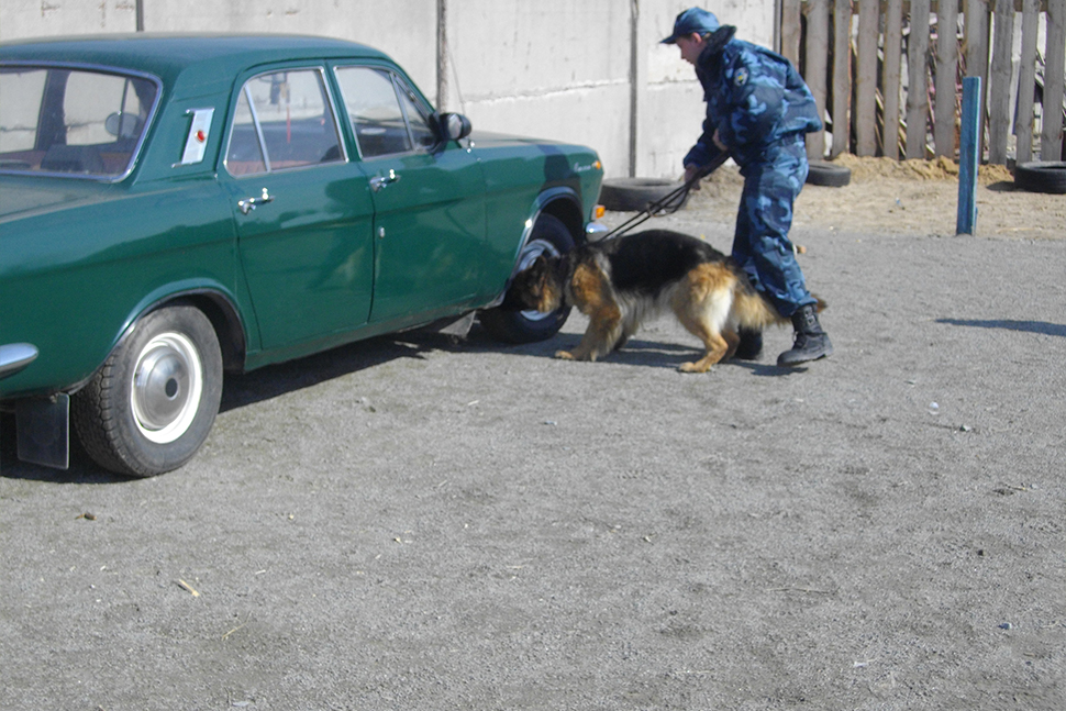 Our Exceptional Solutions Image