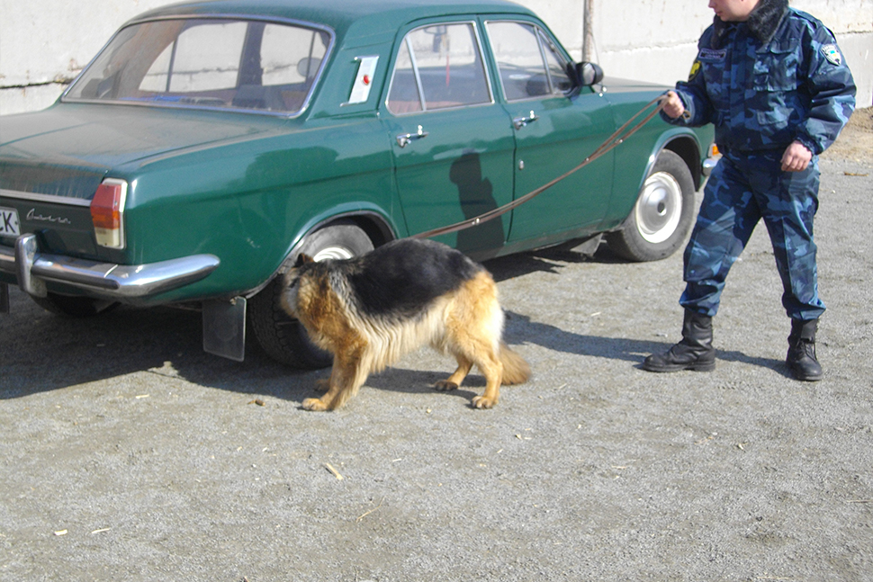 Our Exceptional Solutions Image