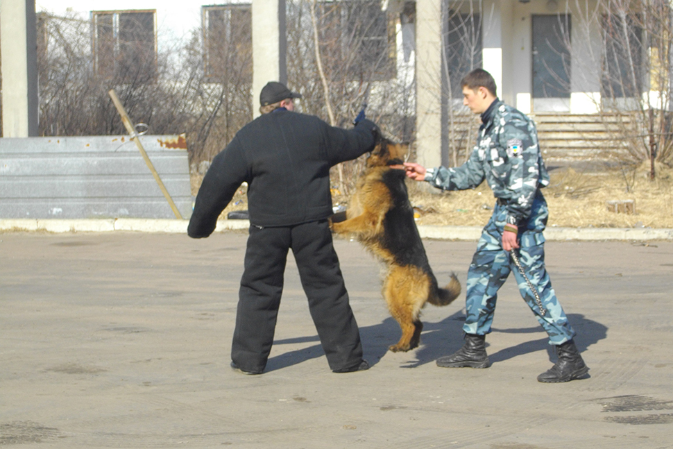 Our Exceptional Solutions Image