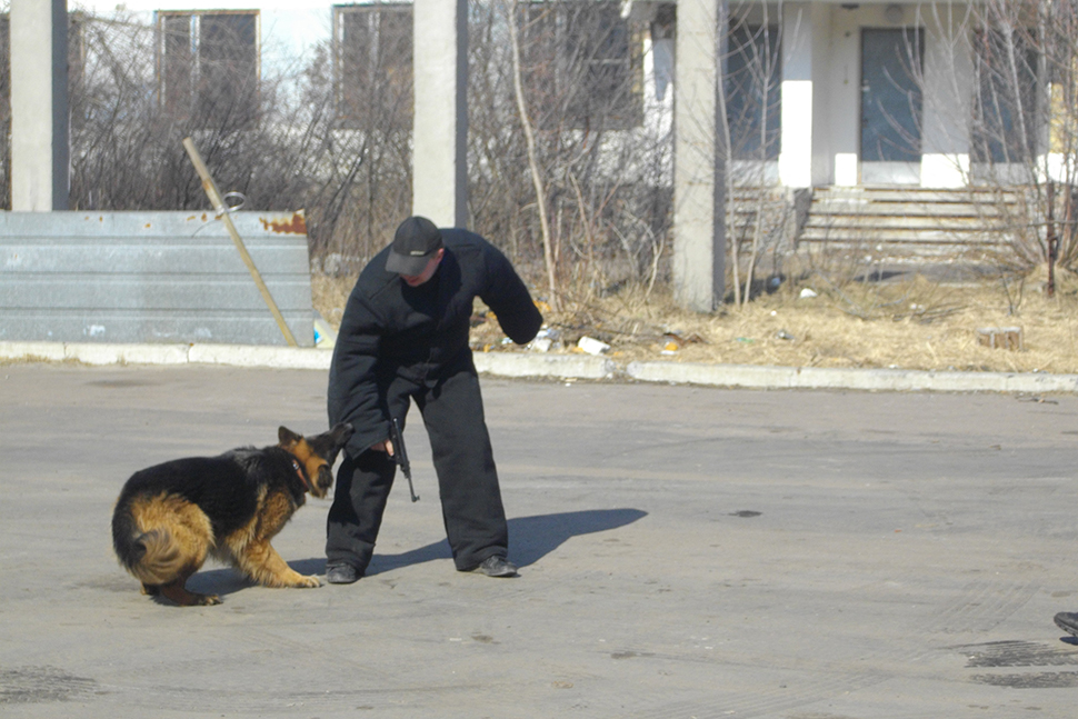 Our Exceptional Solutions Image