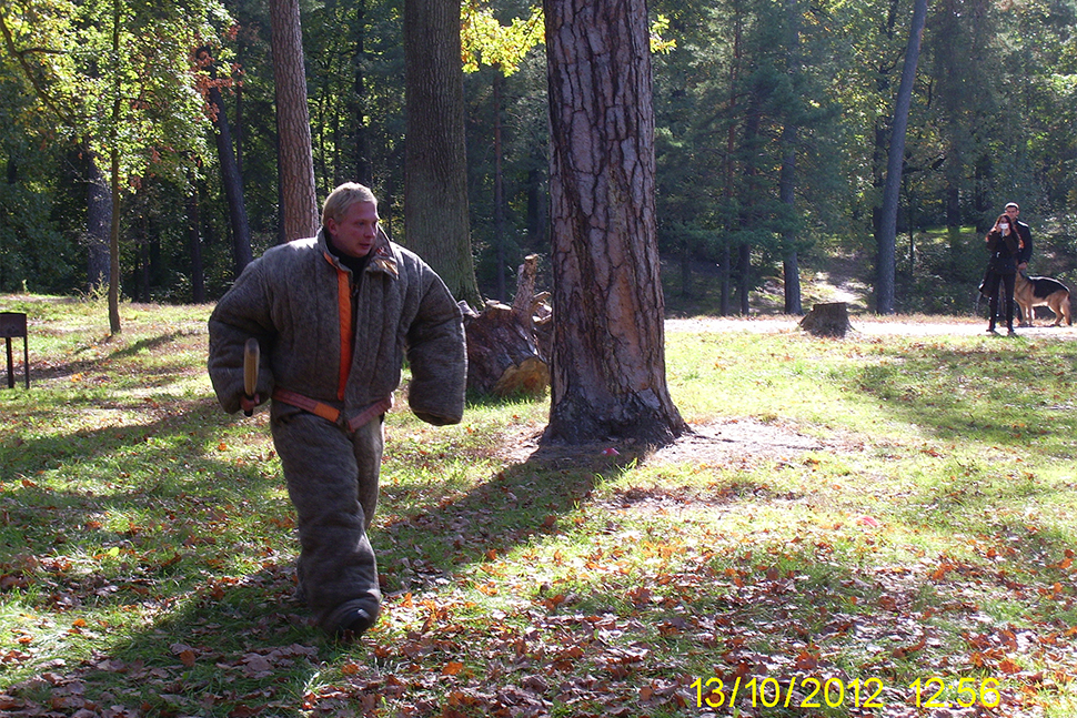 Our Exceptional Solutions Image