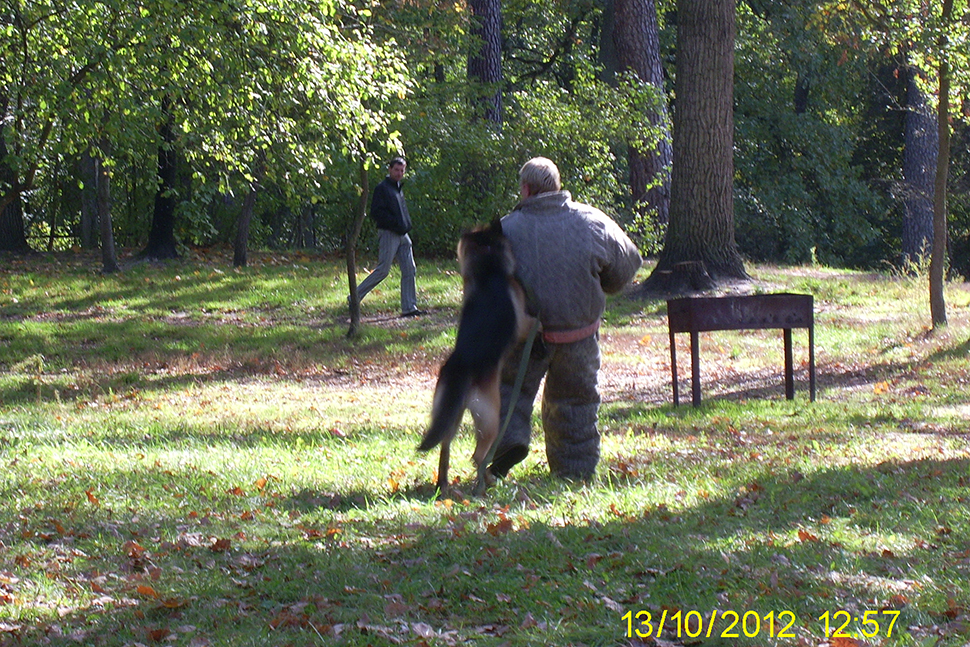 Our Exceptional Solutions Image