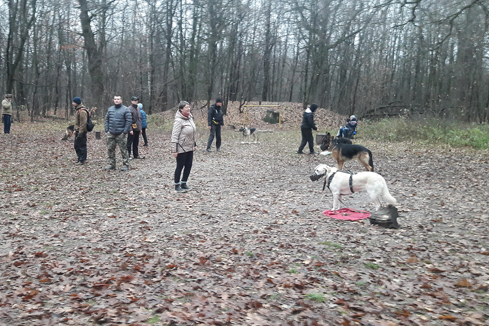 Our Exceptional Solutions Image