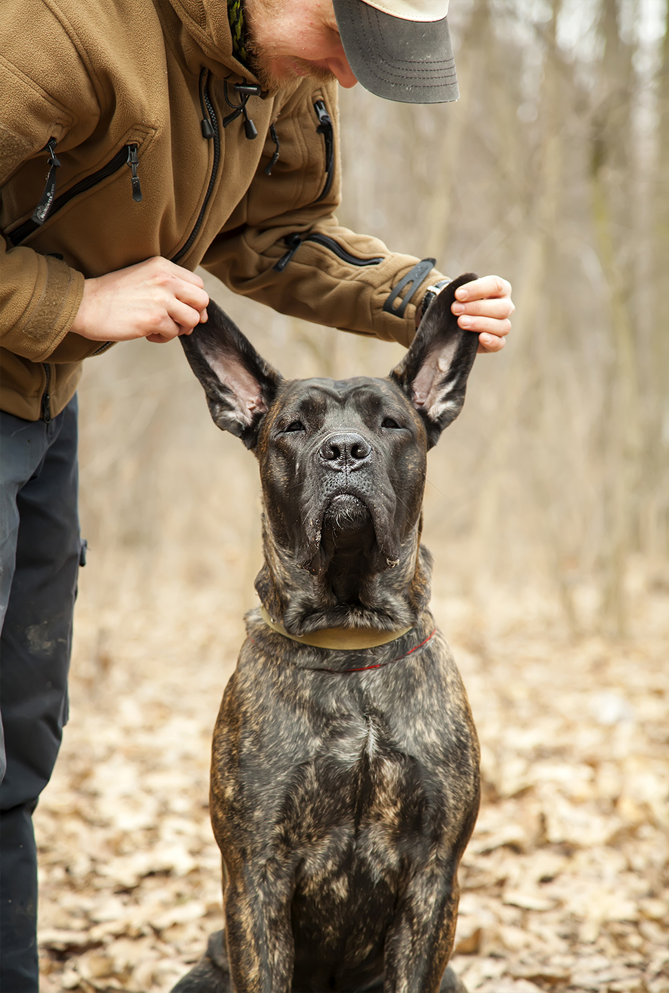 Our Exceptional Solutions Image