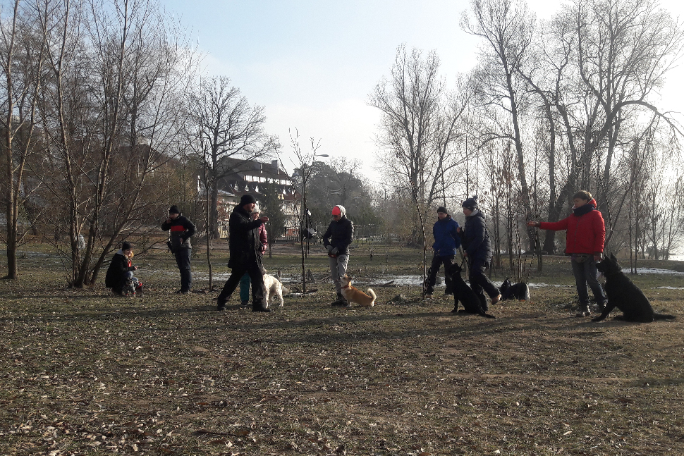 Our Exceptional Solutions Image