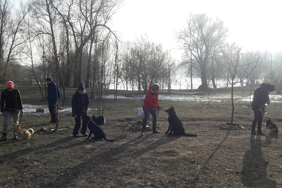 Our Exceptional Solutions Image