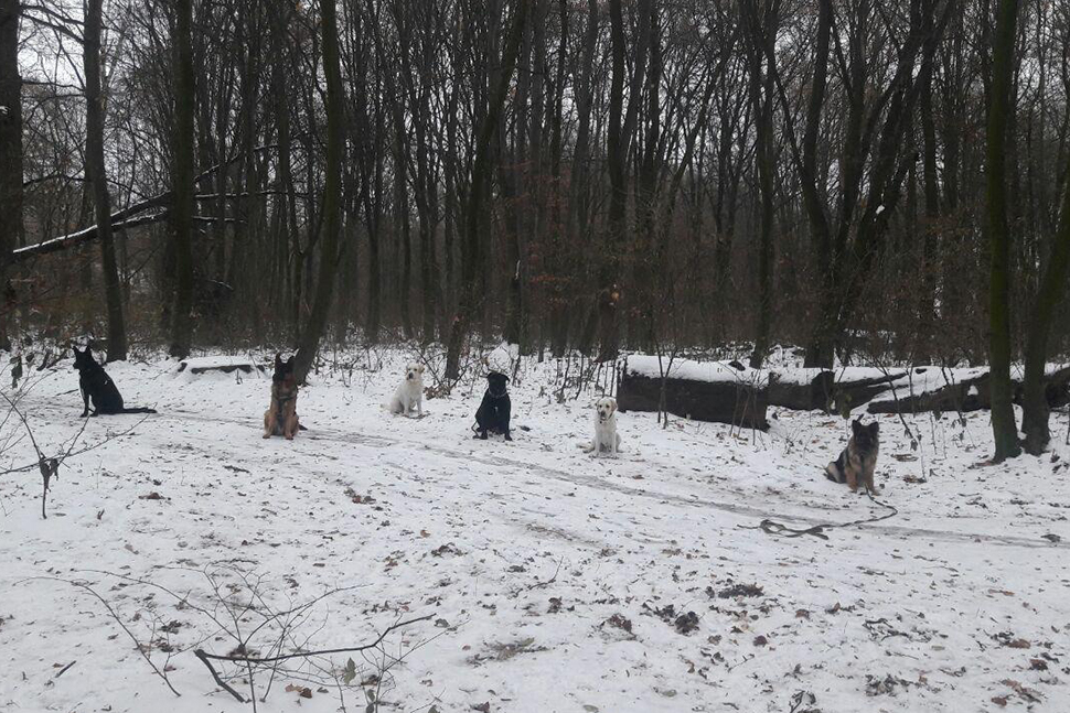 Our Exceptional Solutions Image