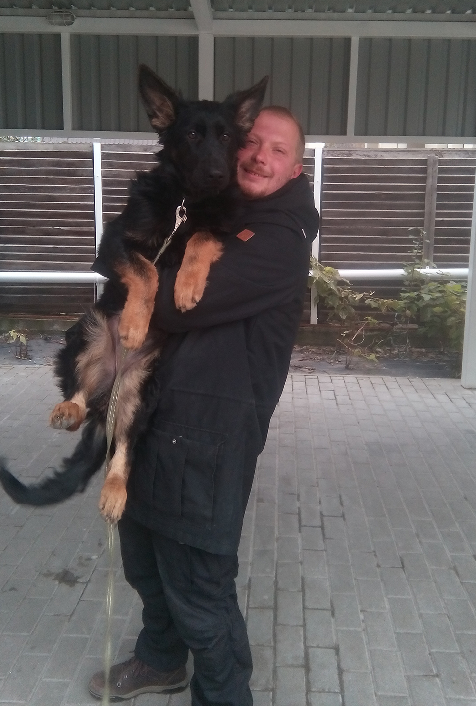 Our Exceptional Solutions Image