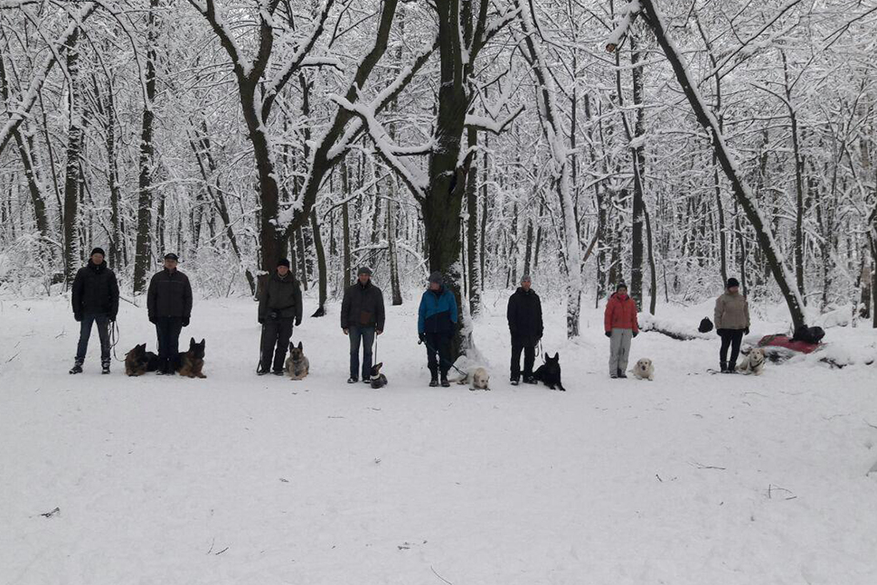 Our Exceptional Solutions Image