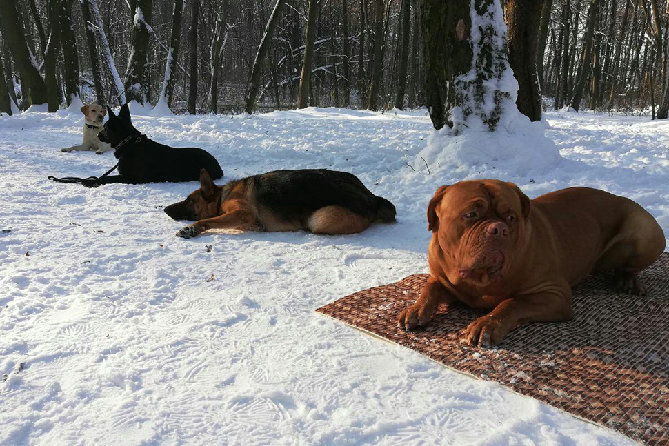 Our Exceptional Solutions Image