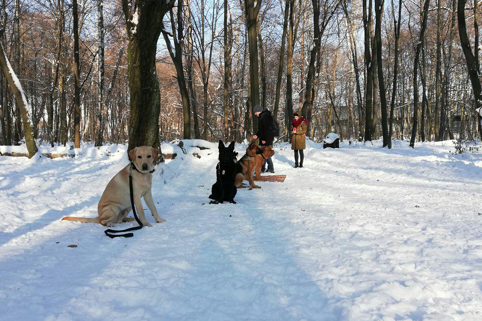 Our Exceptional Solutions Image