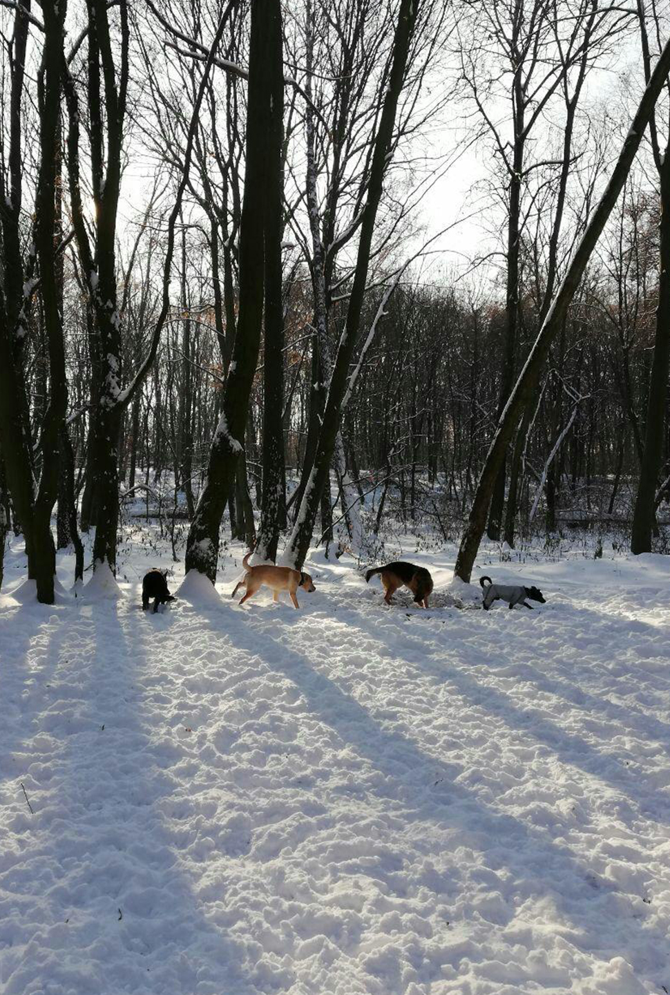 Our Exceptional Solutions Image