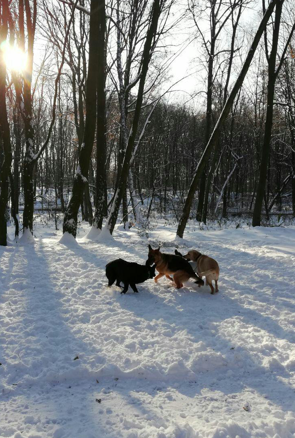 Our Exceptional Solutions Image