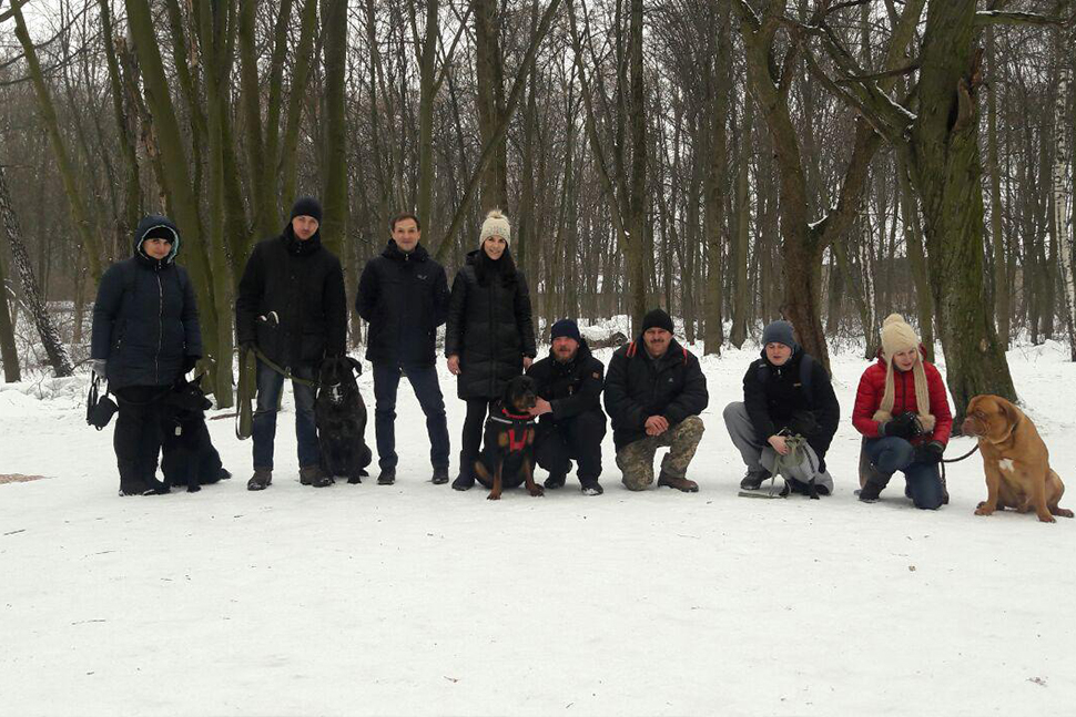 Our Exceptional Solutions Image