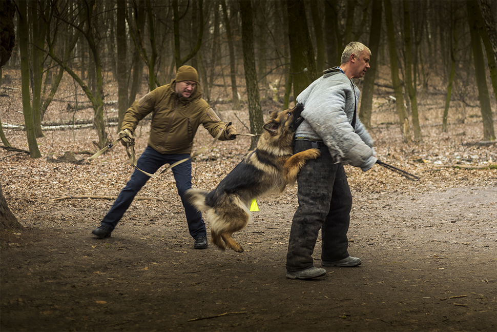 Our Exceptional Solutions Image