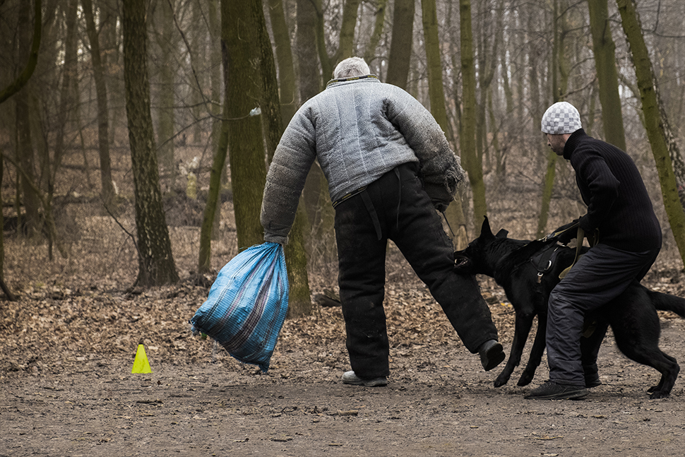 Our Exceptional Solutions Image