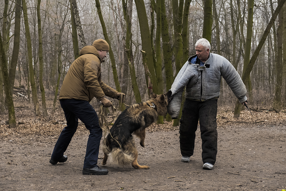 Our Exceptional Solutions Image