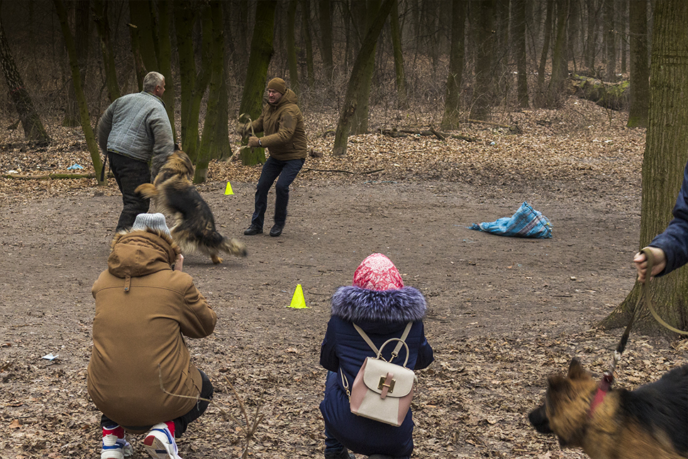 Our Exceptional Solutions Image