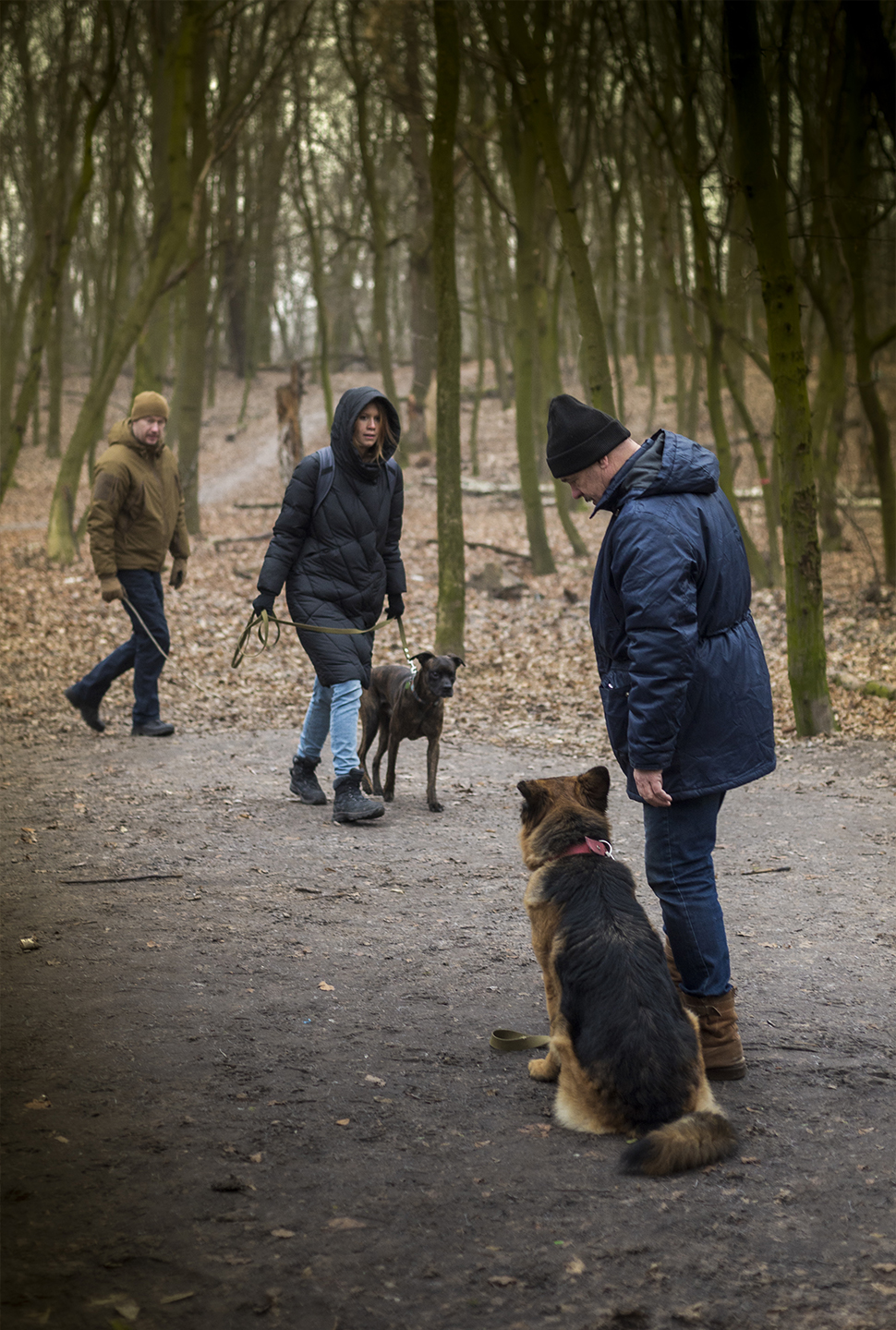 Our Exceptional Solutions Image