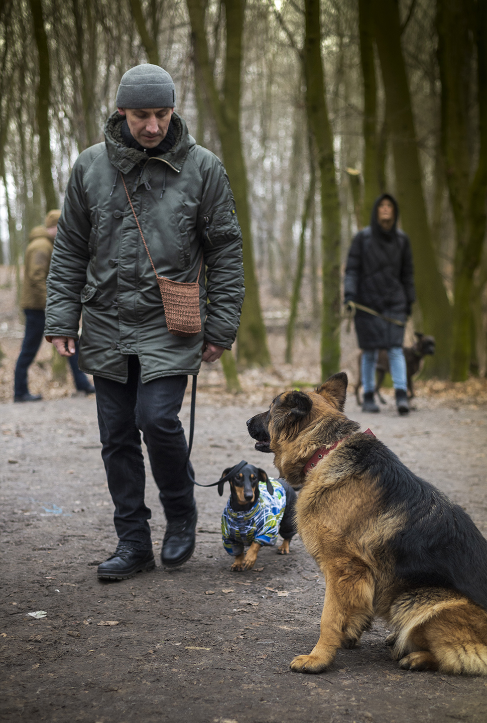 Our Exceptional Solutions Image