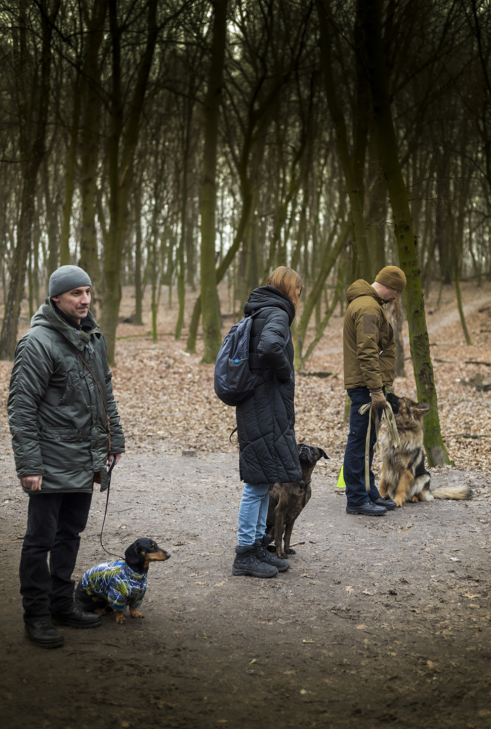 Our Exceptional Solutions Image