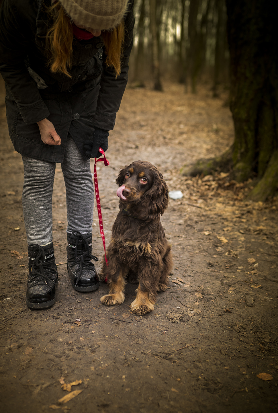 Our Exceptional Solutions Image