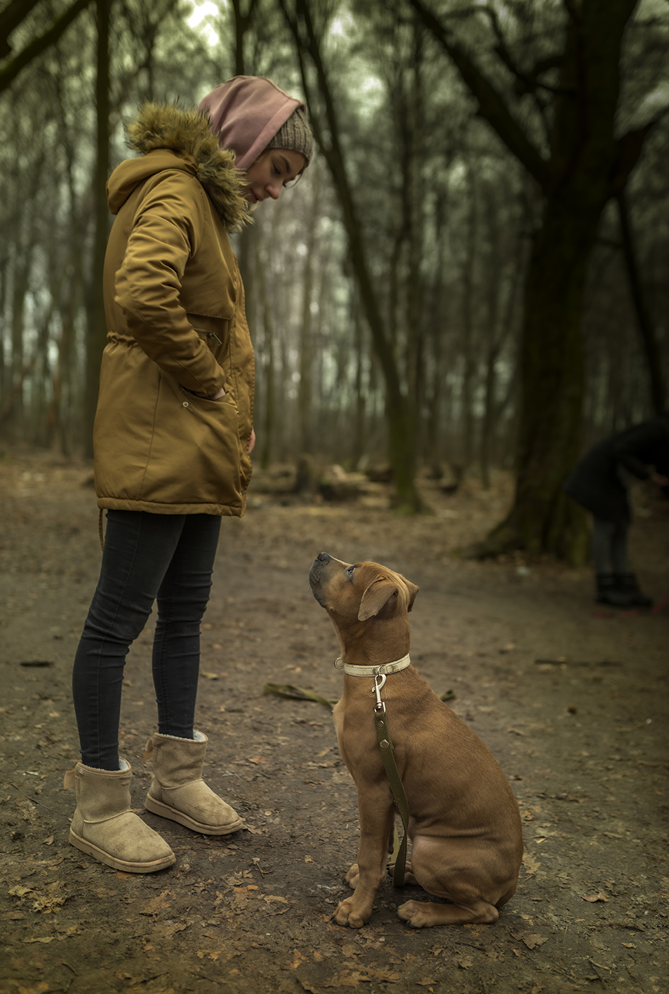 Our Exceptional Solutions Image