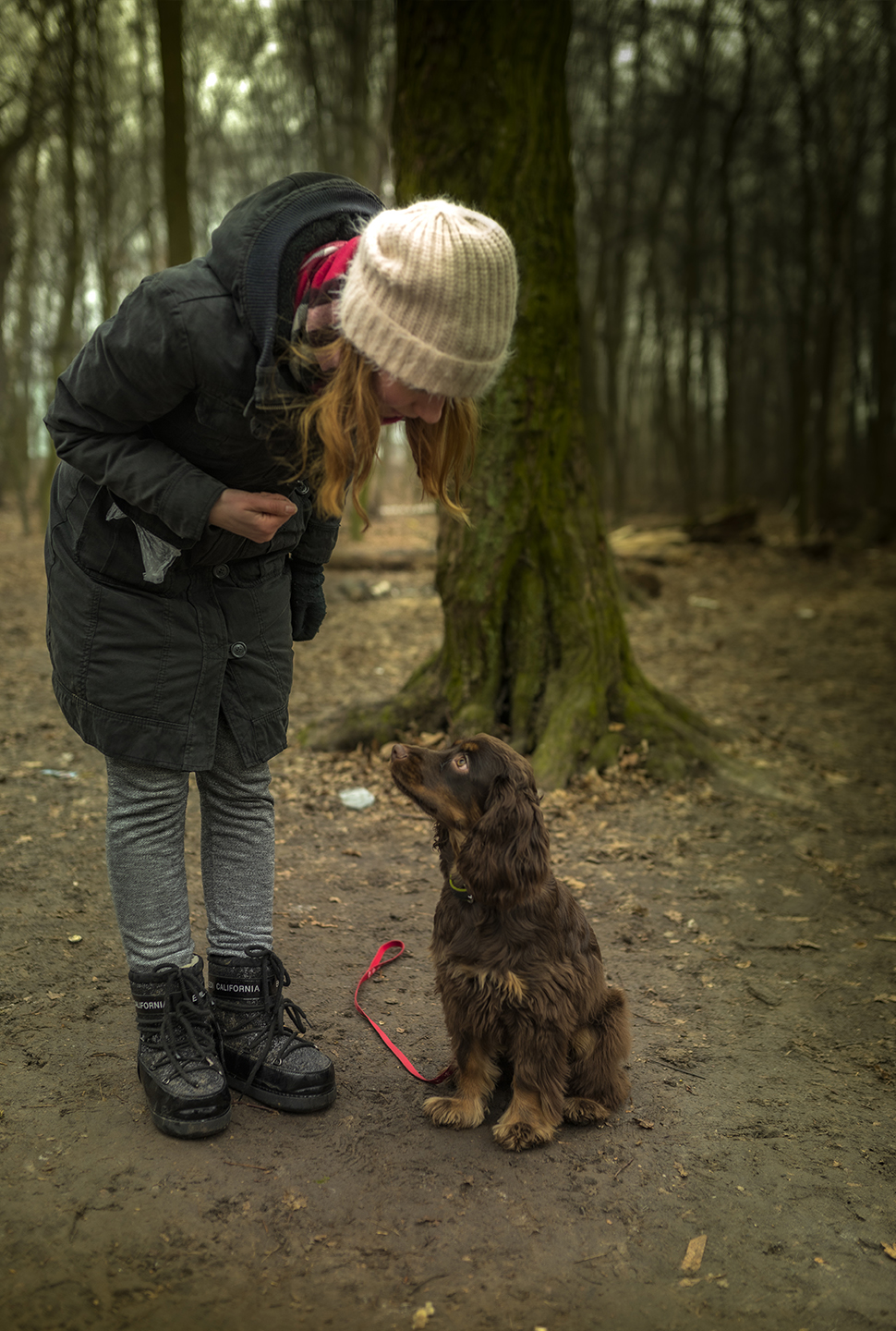 Our Exceptional Solutions Image