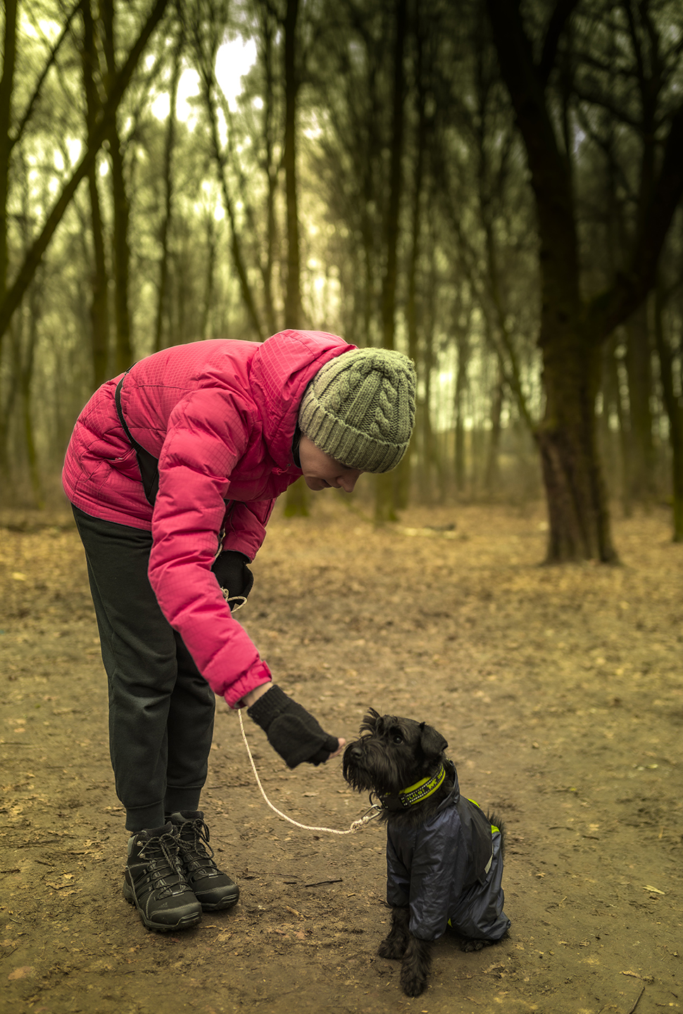 Our Exceptional Solutions Image