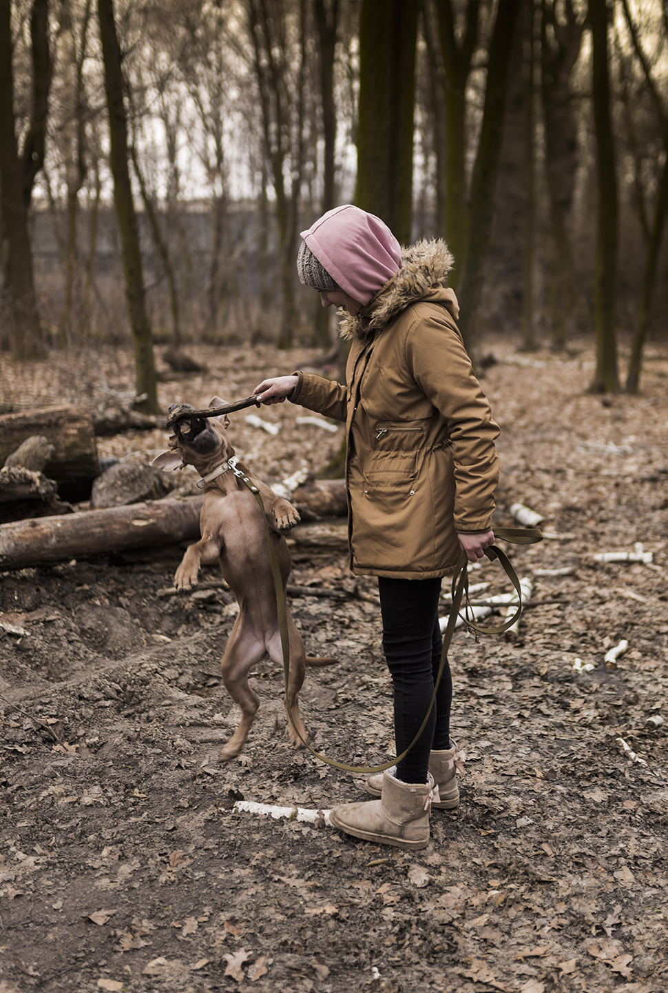 Our Exceptional Solutions Image