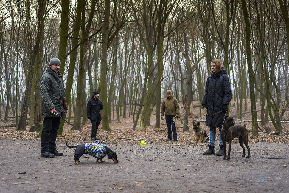 Our Exceptional Solutions Image